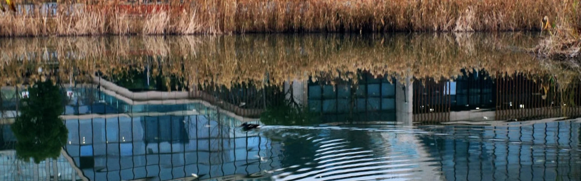 2iE -  International Institute for Water and Environmental Engineering