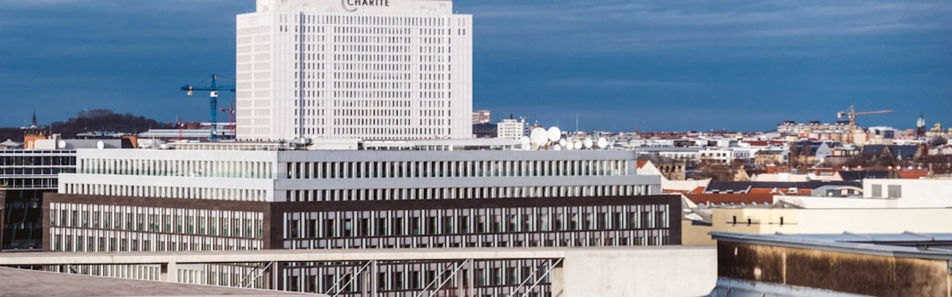 Charite - Universitats Medizin Berlin