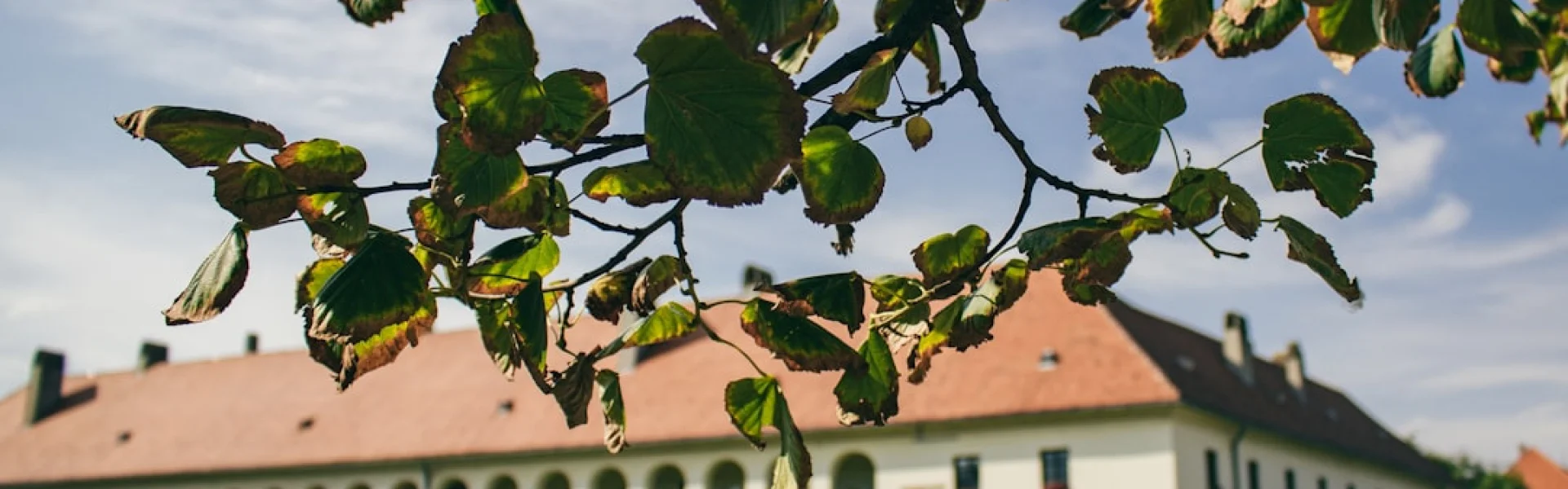 The Josip Juraj Strossmayer University of Osijek