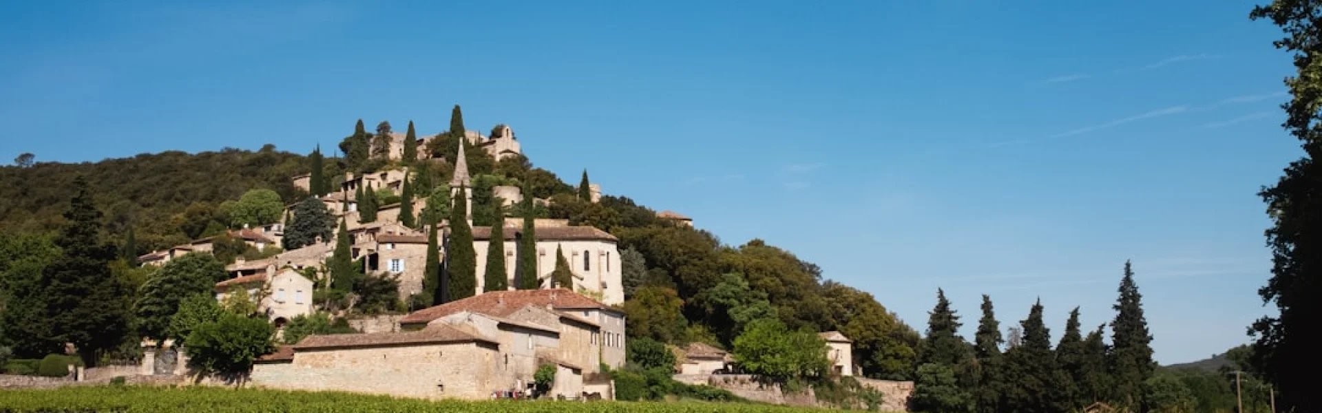 Université d'Avignon et des Pays du Vaucluse