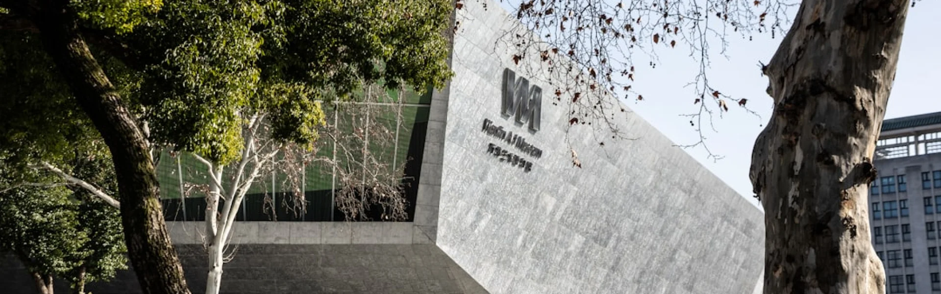 MIT Art Design and Technology University