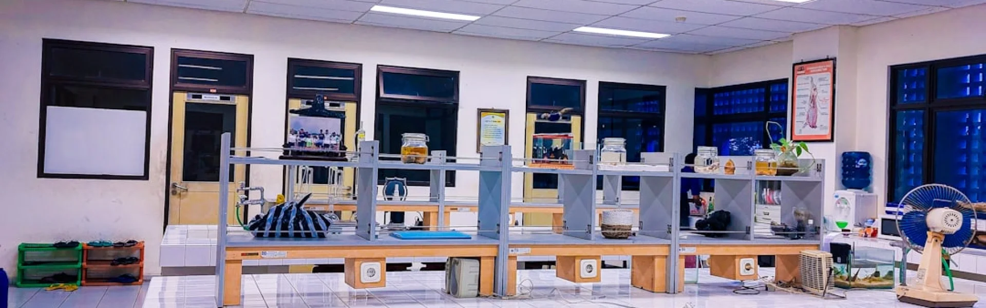 Dr. M. G. R. Educational and Research Institute