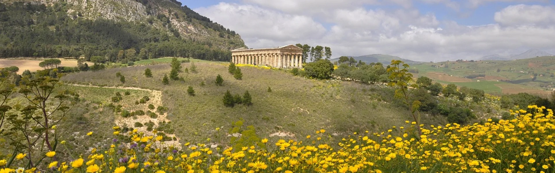 University "Magna Græcia" of Catanzaro