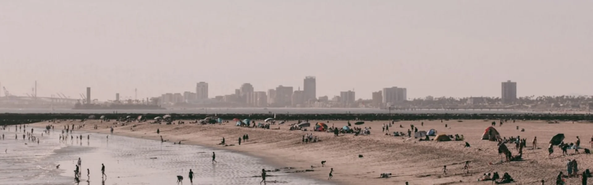 California State Long Beach