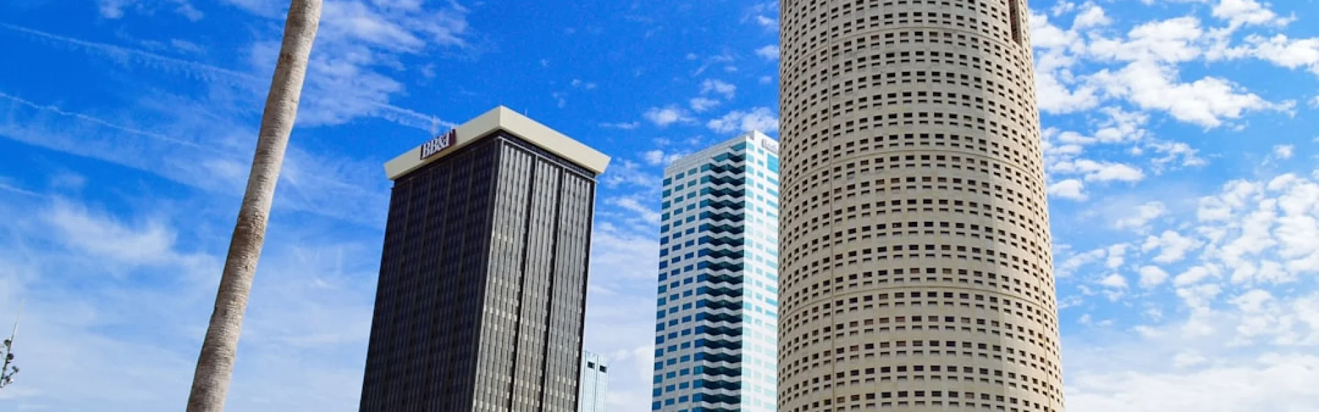 Tampa (Sykes)