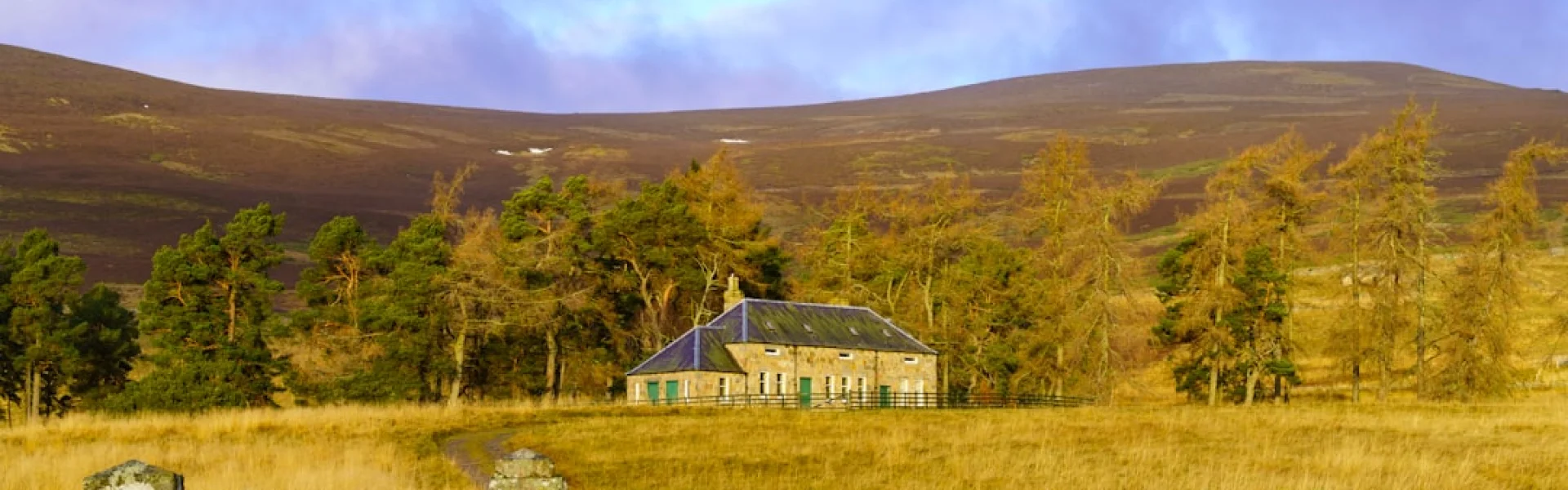 Scotland's Rural College (SRUC)