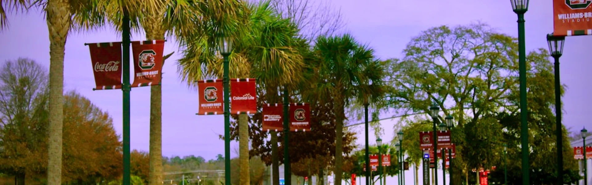 University of South Carolina-Columbia