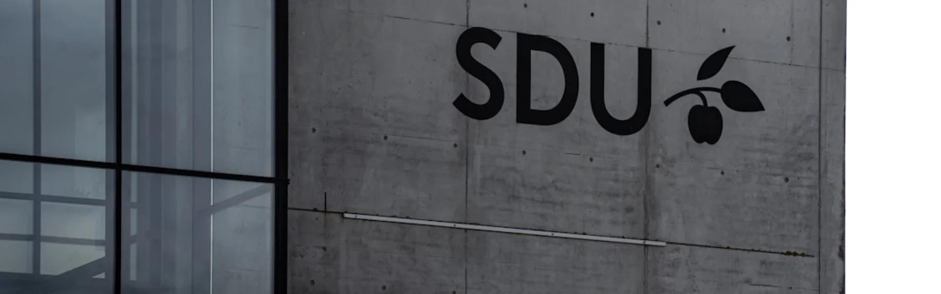 SDU University