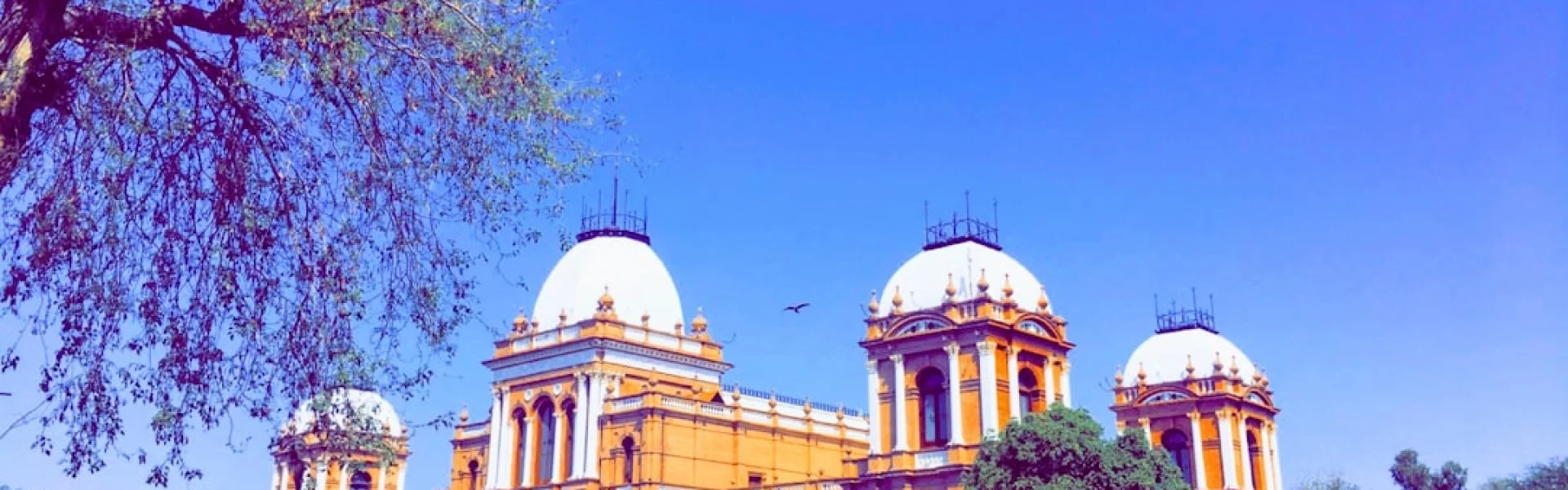 The Government Sadiq College Women University Bahawalpur