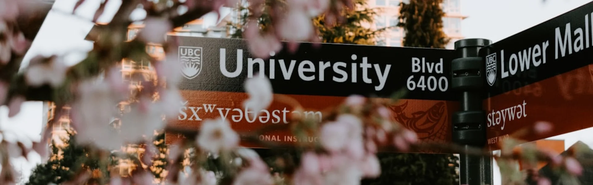 Université d’Ain Témouchent