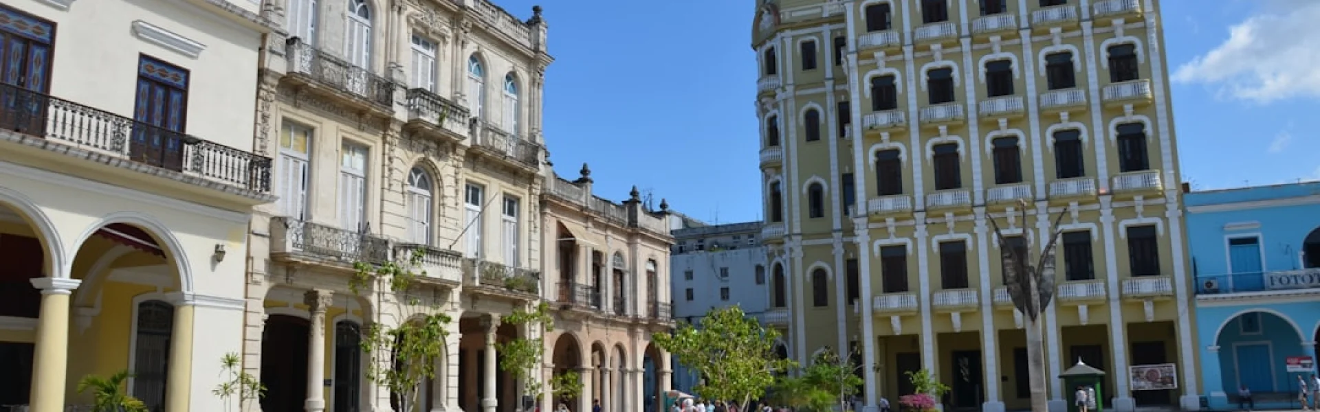 University Braz Cubas