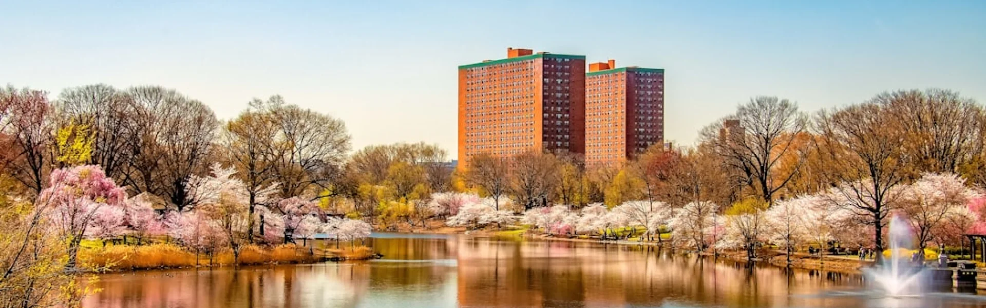 University of Medicine and Dentistry New Jersey
