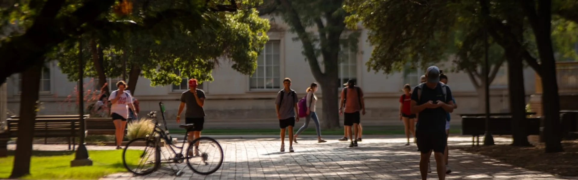 University of Texas School Public Health
