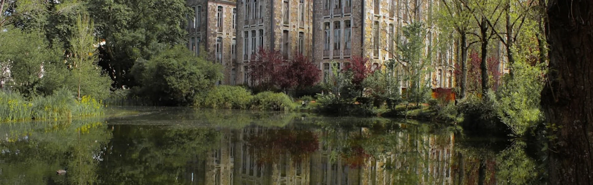 Witten Herdecke University