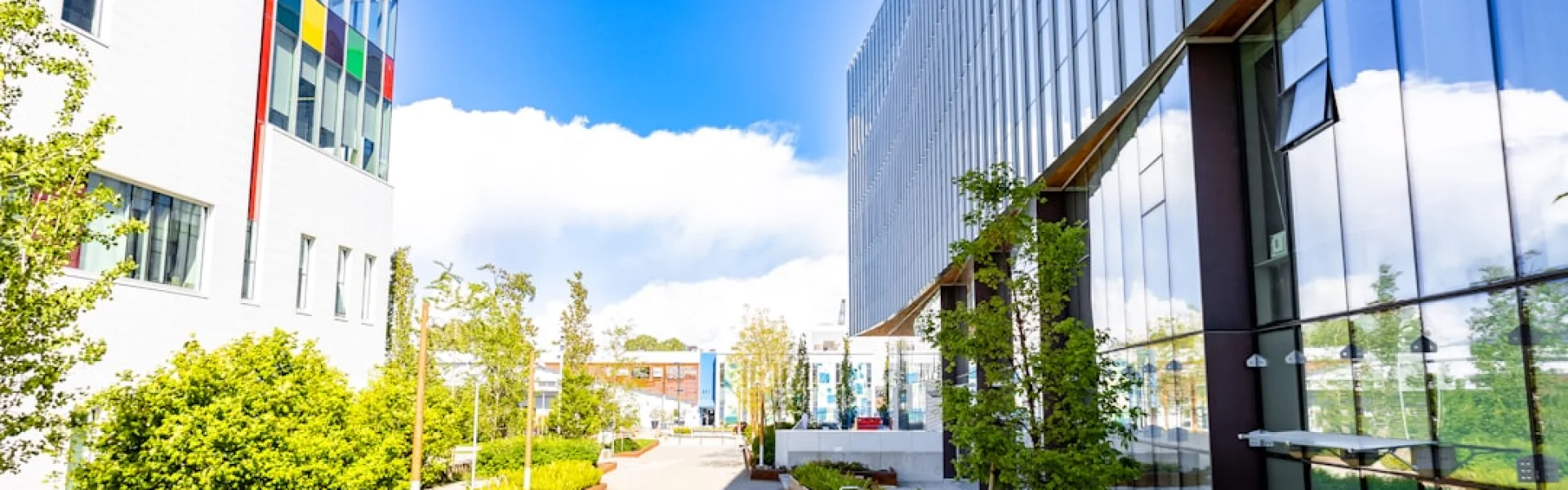 University of Occupational and Environmental Health