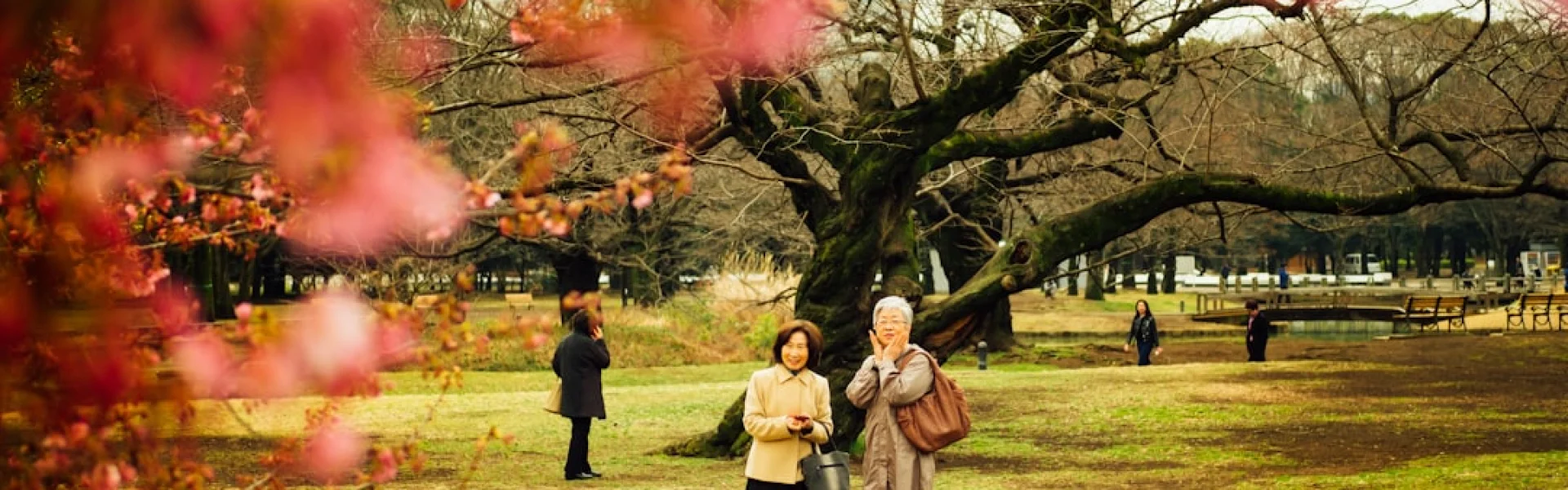 Tokyo Woman's Christian University