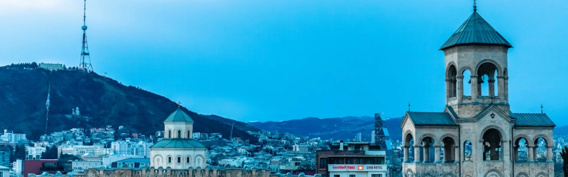 The University of Georgia, Tbilisi