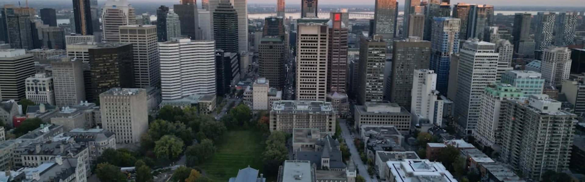 McGill University