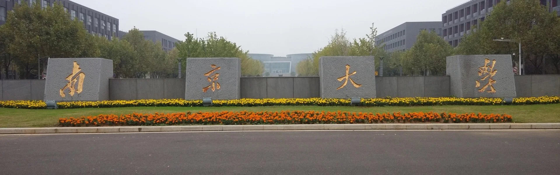 Nanjing University