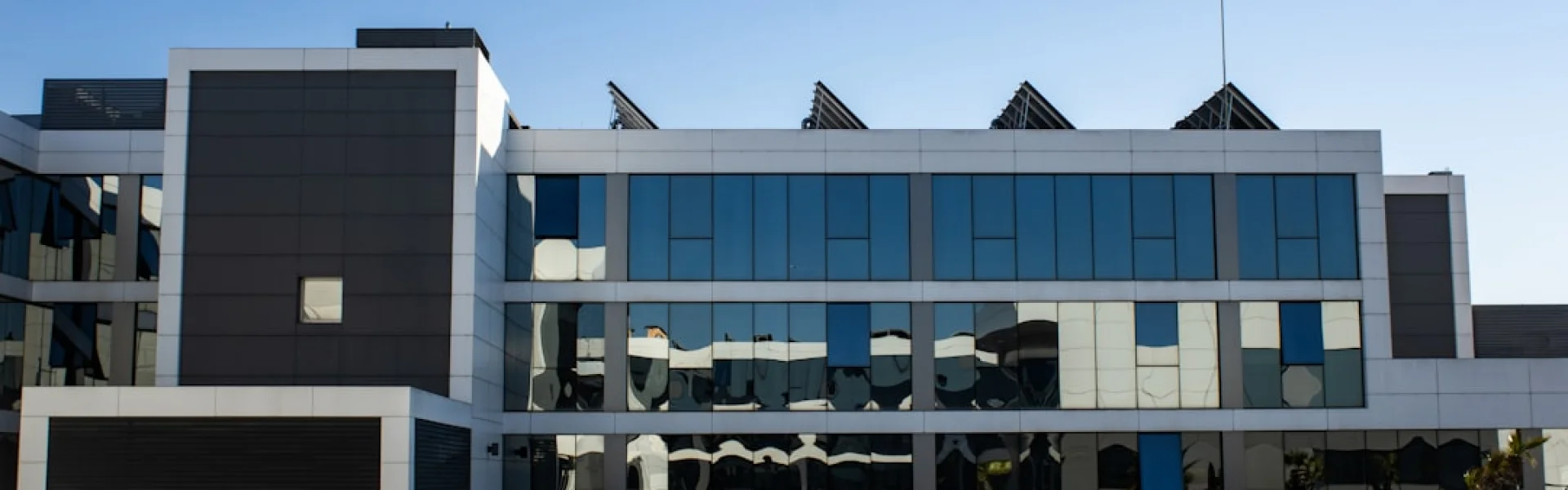 Universidad Miguel Hernandez de Elche