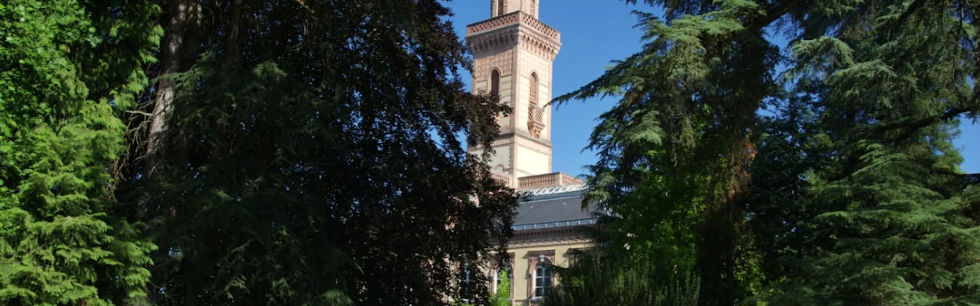 Universite de Carthage