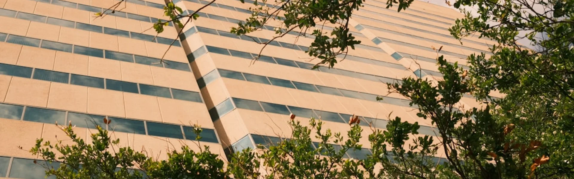University of Texas Southwestern Medical Center Dallas