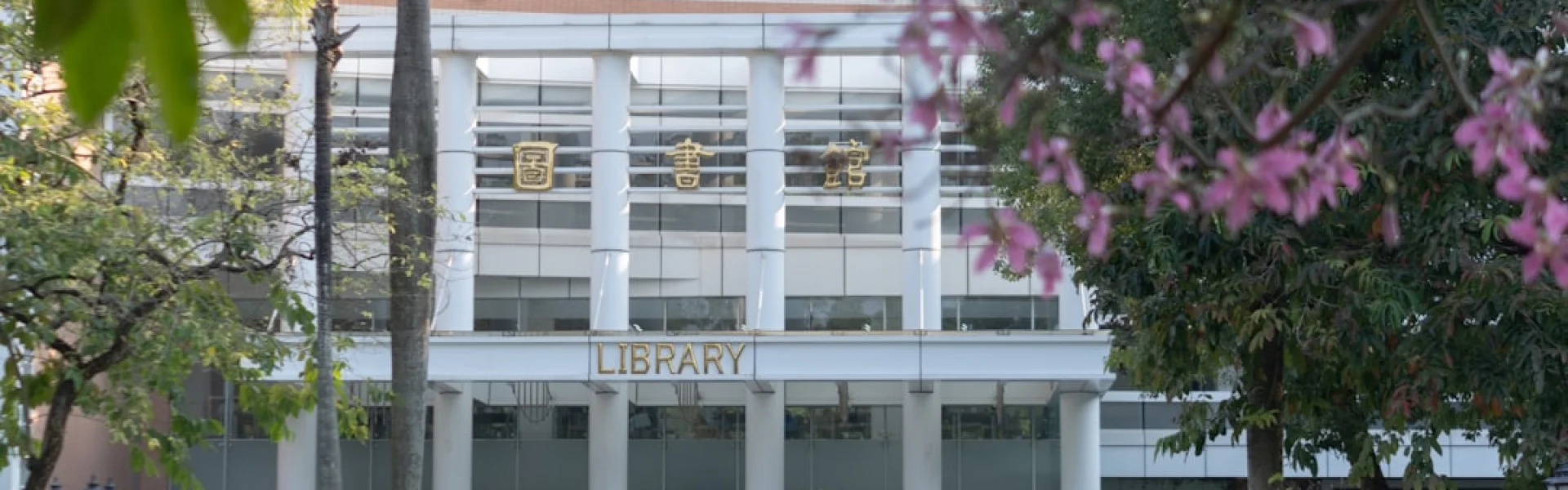 Zhongnan University of Economics & Law