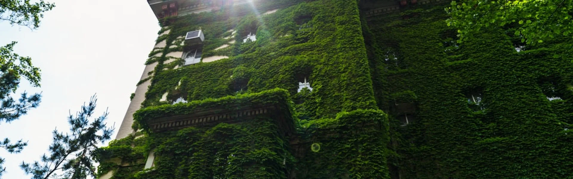 State University of New York (SUNY) College of Environmental Science & Forestry