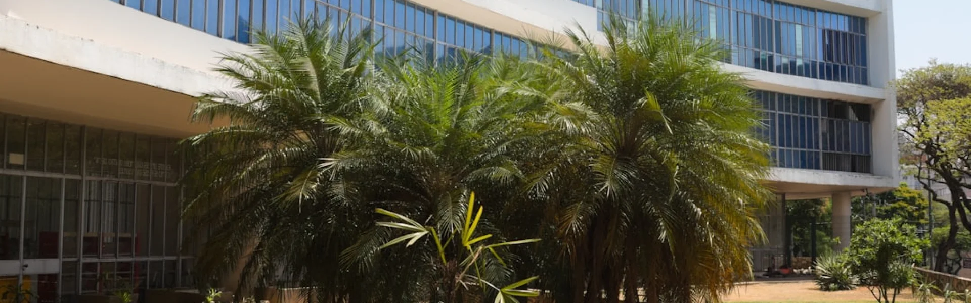 Muhimbili University of Health & Allied Sciences